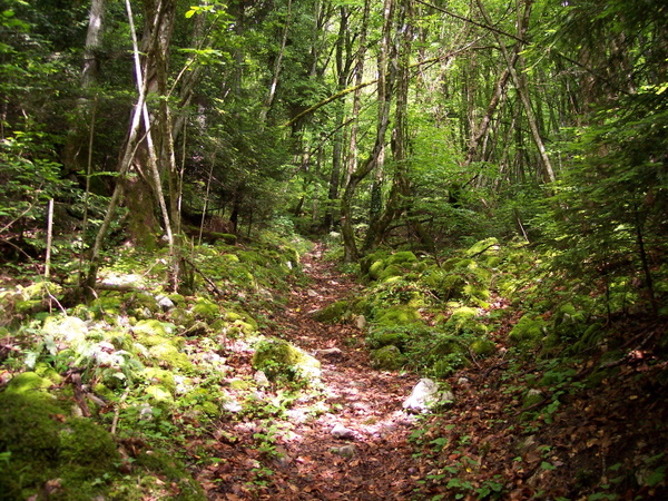 100_7272.JPG