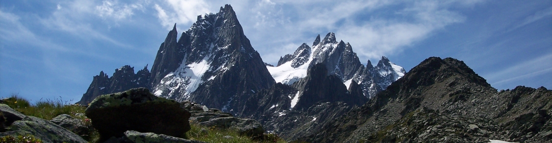 copy-17.jpg