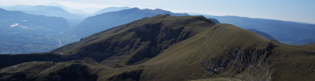 copy-19.jpg
