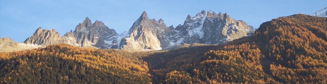 copy-20.jpg
