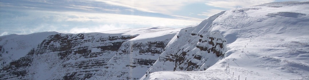 cropped-11.jpg