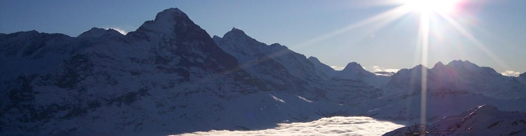 cropped-12.jpg