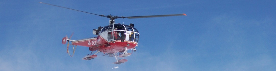 cropped-15.jpg