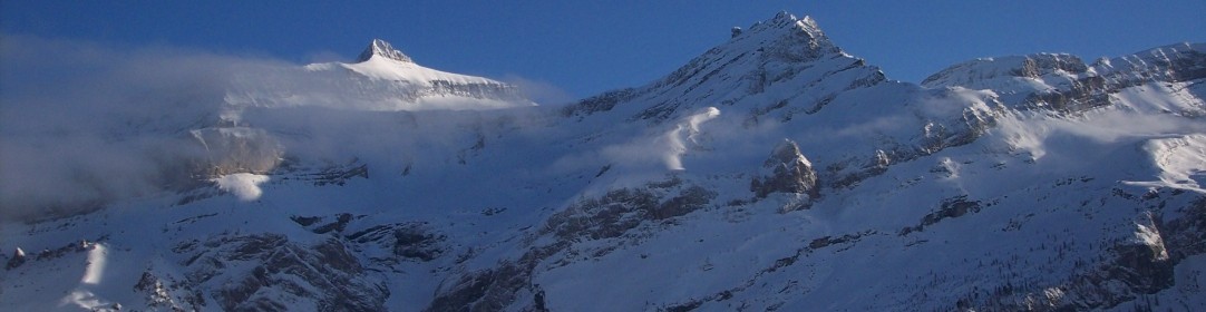 cropped-22a.jpg