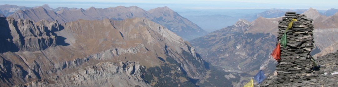 cropped-26.jpg