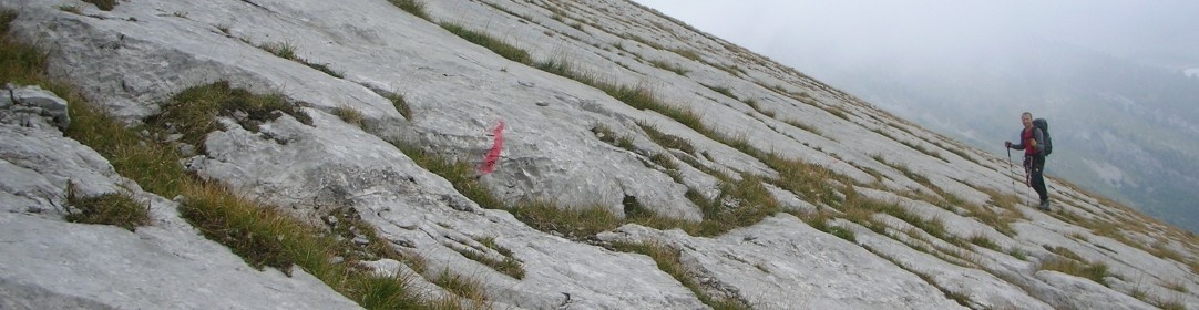 cropped-29.jpg