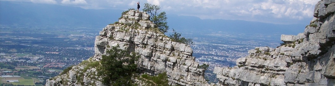 cropped-3.jpg