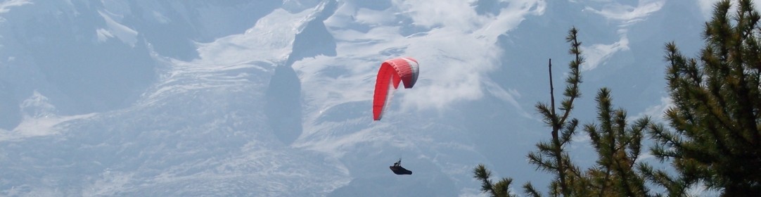 cropped-4.jpg