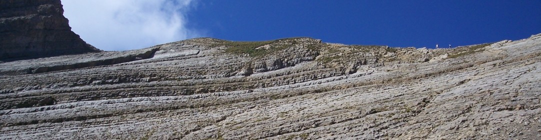 cropped-5.jpg